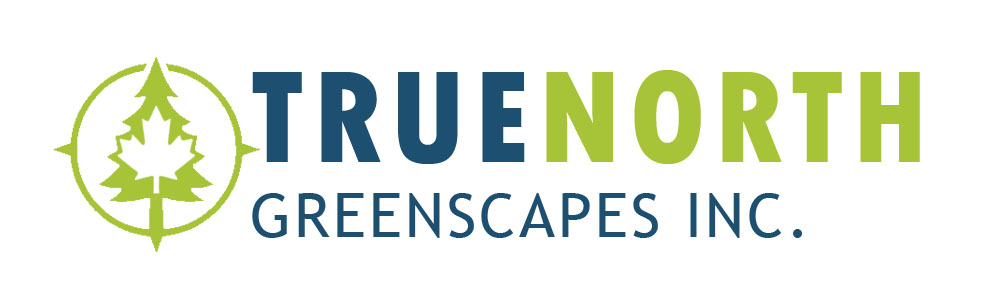 Landscaping Services Kitchener-Waterloo & Cambridge