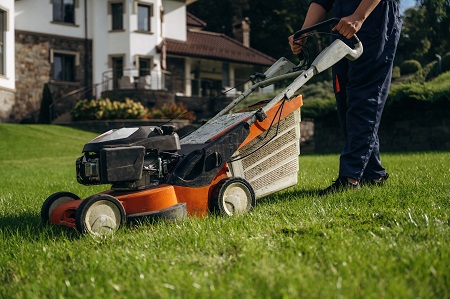 Lawn Care & Maintenance Services Kitchener Waterloo Cambridge