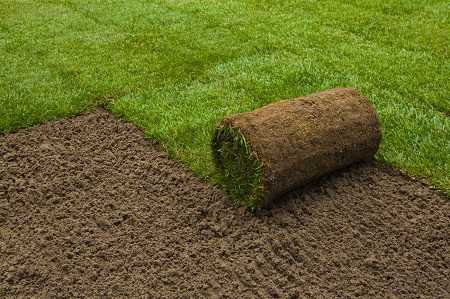 Sod Installation Kitchener Waterloo Cambridge