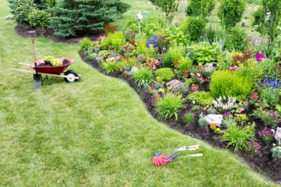Tree and shrub planting services in Waterloo Region